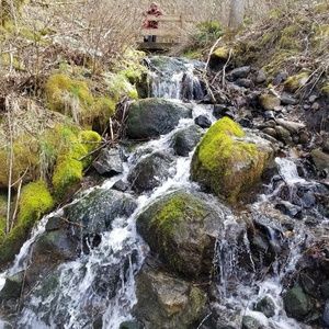 Meet your Posher, Bruce